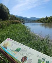 Hôtel du Lac image 19