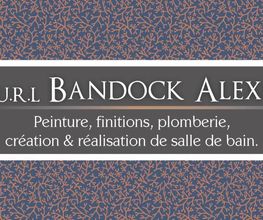Bandock Alexis EURL image 17