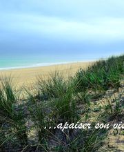 Saiveau Michel image 5