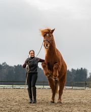 Equimove GmbH Bild 9