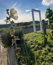 Waris Larmandier EARL image 16