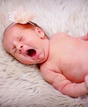 Photo-Proßwitz Bild 9