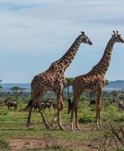 Reisebüro Zeilinger AG Bild 13