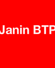 Janin BTP image 1
