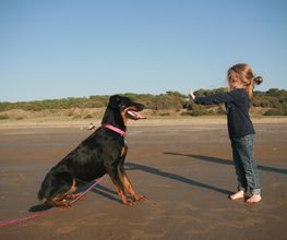 4pattes44 image 1