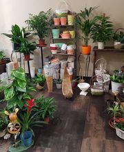 angela_floristeria_cordoba.jpg