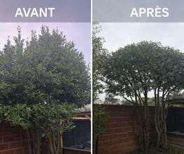 Marq Jardin image 5