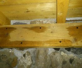 Raffier Etablissements image 5