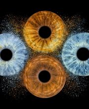 Studio Lichtwert Bild 10