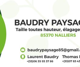 Laurent Baudry EI image 1
