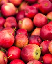 OBST UND GEMÜSE
Reif geerntete und vollaromatische Äpfel von regionalen Obstwiesen, würzig duftende Kräuter, aromatisches Gemüse: Köstlich!

Regionales und saisonales Obst und Gemüse liegen im Trend. Entdecken Sie einen bunten Mix an gesunden Vitaminen! Saisonal, leicht, lecker und immer öfter in bester Bio-Qualität. Täglich bestücken wir unser Obst- und Gemüse-Sortiment mit neuer Ware. Freuen Sie sich auf Leckerbissen aus der Heimat und exotische Spezialitäten aus Übersee. Sie haben die Wahl. Und die Qualität.