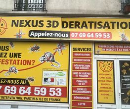 Nexus image 3