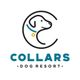 Collars Dog Resort