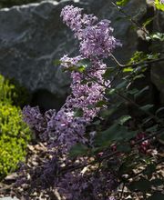 Hess Galabau AG Bild 11