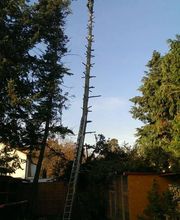 Heiko Jester - Garten- und Landschaftsbau GbR Bild 5