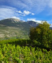 Mathier Franz-Josef AG Bild 9