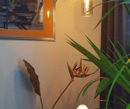 Tarisha Massageinstitut Bild 2