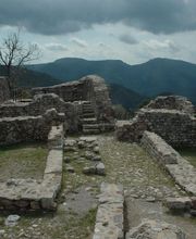 IN SITU SCP imagen 10