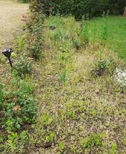AlexJardin image 11