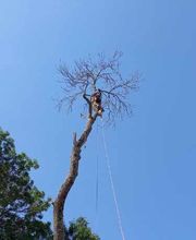 M.B.Elagage image 16