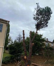 PEIXOTO PAYSAGES image 5