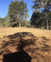 Maurel TP 2ME image 12