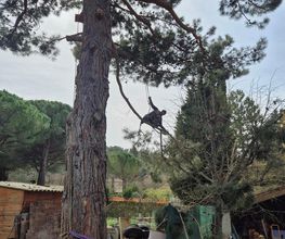 Sannier David Espaces Verts image 20