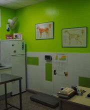 zona-animal-interior-02.jpg