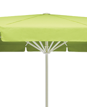 Arpagaus Storen GmbH Bild 13