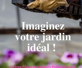 Hedom image 3
