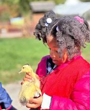 Field trip to The Children's Farm at the Center in Palos Park