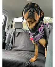 Total Wine & More image 6