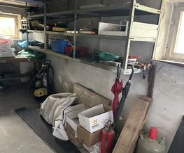 IMG_5398.jpeg