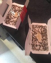 Action 3D Nuisibles image 5