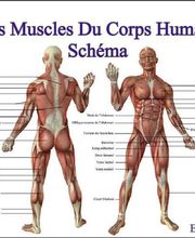 Mika Physique image 1