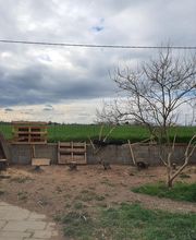 Le jardin de Paul image 2