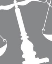 Pirarba Sandra image 2