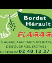Bordet/Hérault Elagage image 12