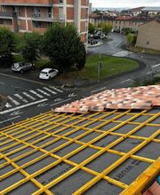 PBM Carvalho image 3