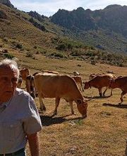 Pinsos Cortada imagen 9