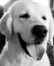 La Villa des Truffes D'Or image 1