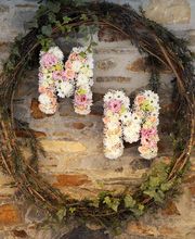 Floème Fleurs image 16