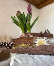 In Memoria Bestattungen GmbH Bild 8