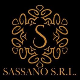 Sassano Srl logo