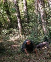 Mugello Tartufi immagine 8