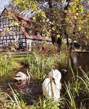 Springbach-Mühle Belzig OHG Bild 7