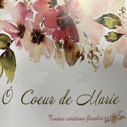 O Coeur De Marie