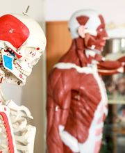 SHI Haus der Homöopathie Bild 9