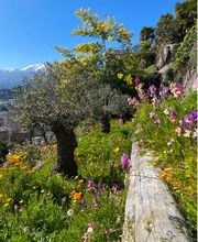 MOMO GIARDINI SA - GIARDINIERE LOCARNO, AFC / EFZ Bild 3