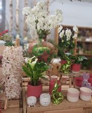 Inna's Blumen Galerie Bild 4